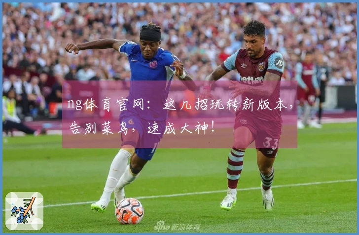 ng体育官网：这几招玩转新版本，告别菜鸟，速成大神！