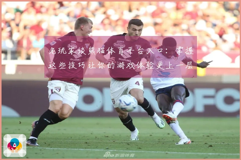 老玩家谈熊猫体育平台入口：掌握这些技巧让你的游戏体验更上一层楼