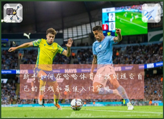 新手如何在哈哈体育中找到适合自己的游戏和最佳入门策略