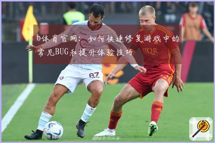 b体育官网：如何快速修复游戏中的常见BUG和提升体验技巧