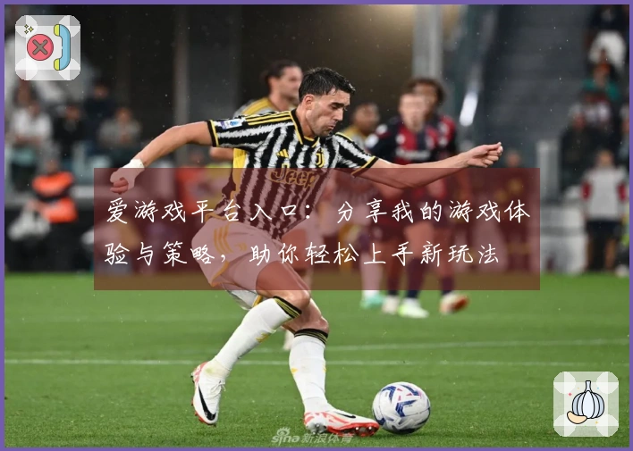爱游戏平台入口：分享我的游戏体验与策略，助你轻松上手新玩法